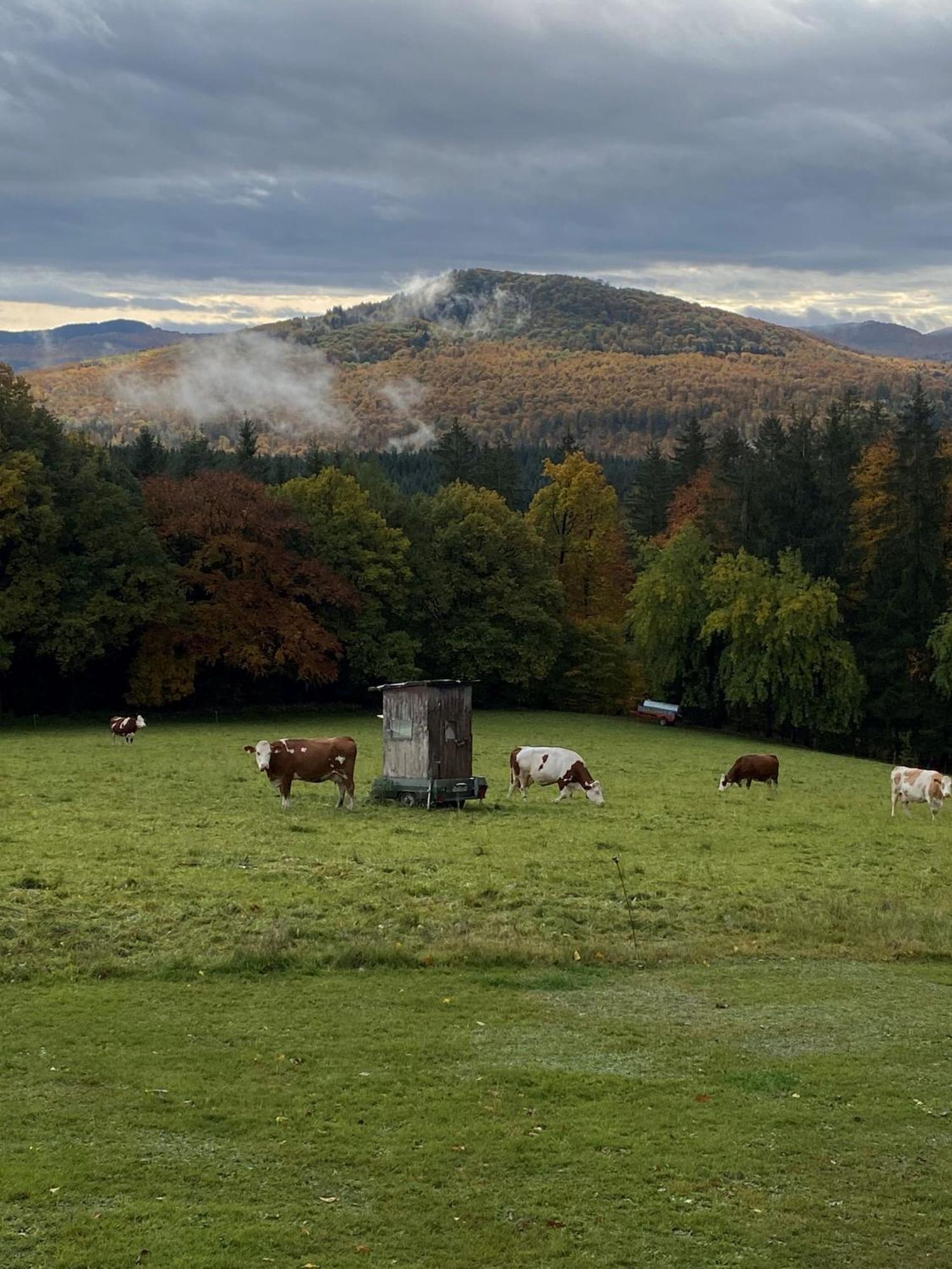 Landhaus Ingeborg Poppenhausen Dış mekan fotoğraf