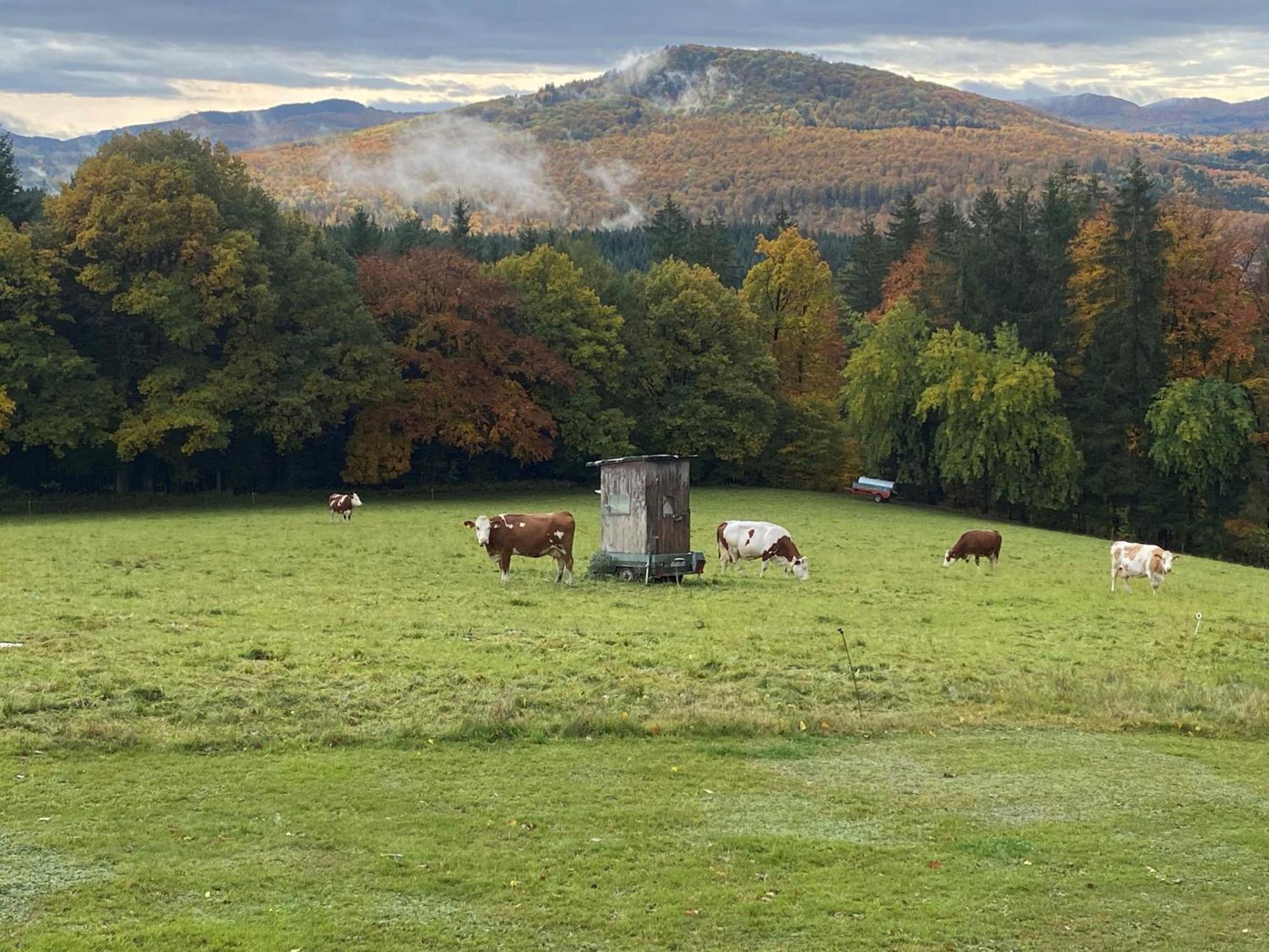 Landhaus Ingeborg Poppenhausen Dış mekan fotoğraf